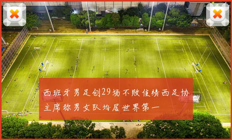 西班牙男足创29场不败佳绩西足协主席称男女队均居世界第一