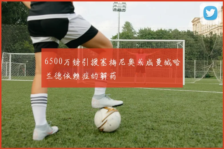 6500万镑引援塞梅尼奥或成曼城哈兰德依赖症的解药