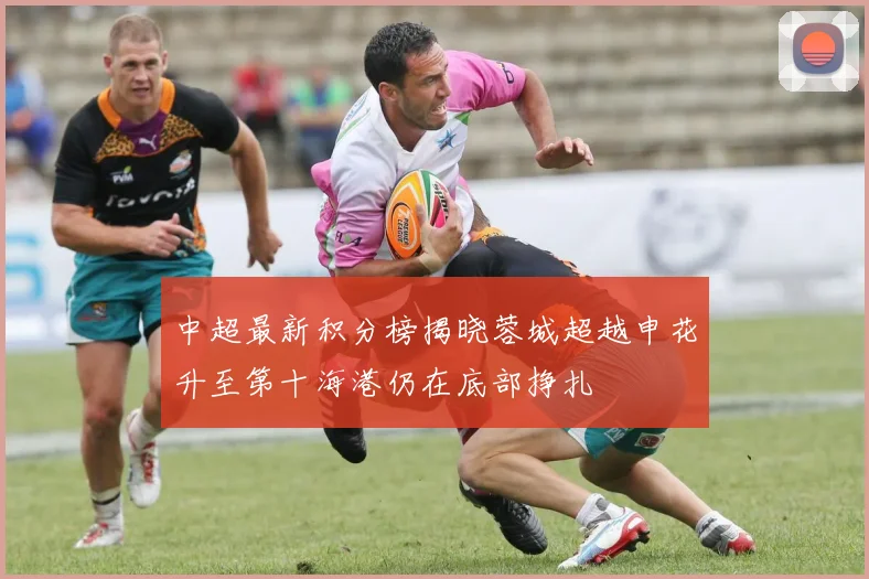 中超最新积分榜揭晓蓉城超越申花升至第十海港仍在底部挣扎