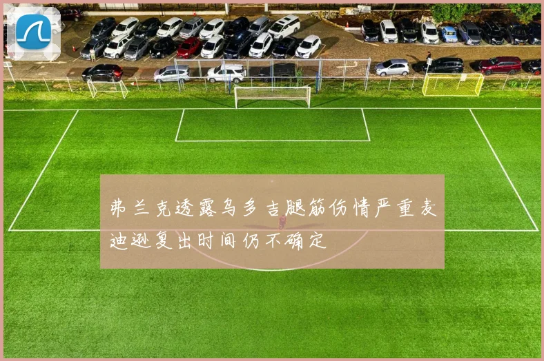 弗兰克透露乌多吉腿筋伤情严重麦迪逊复出时间仍不确定